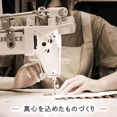 アヤノコウジについて