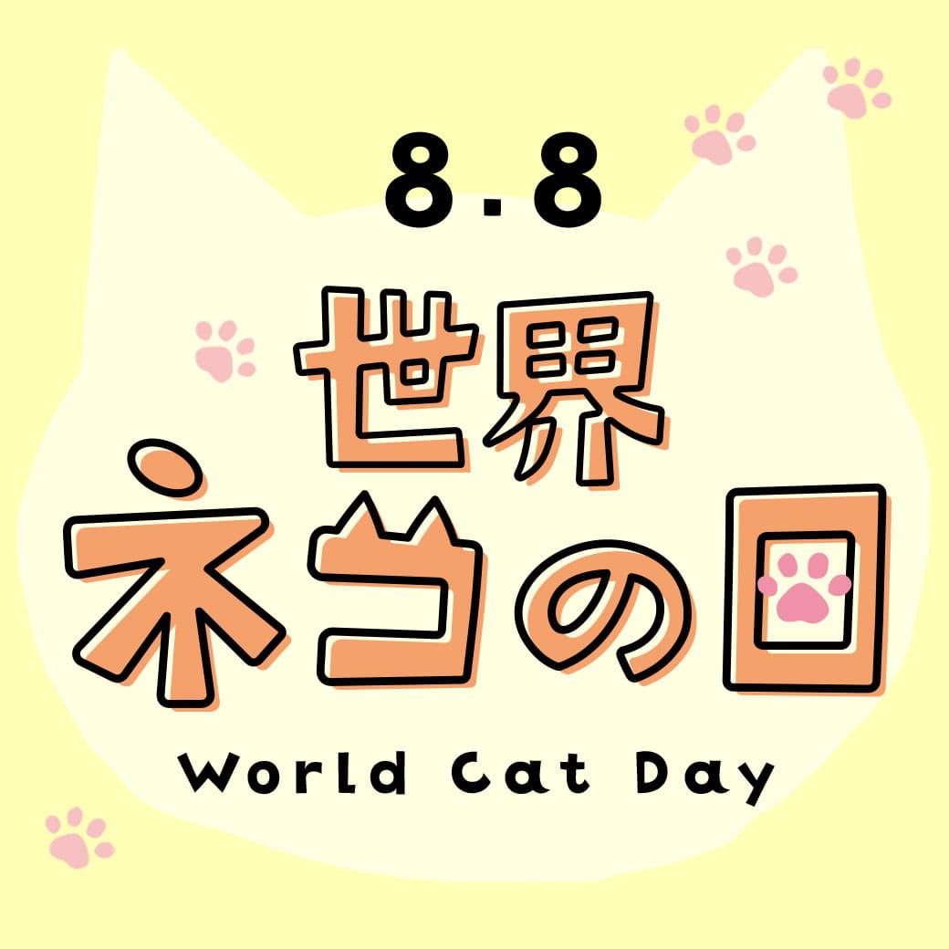 World cat day