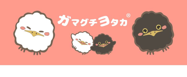 ガマグチヨタカ　メインイメージ