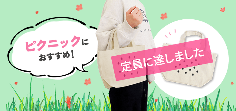 ピクニックにおすすめ！